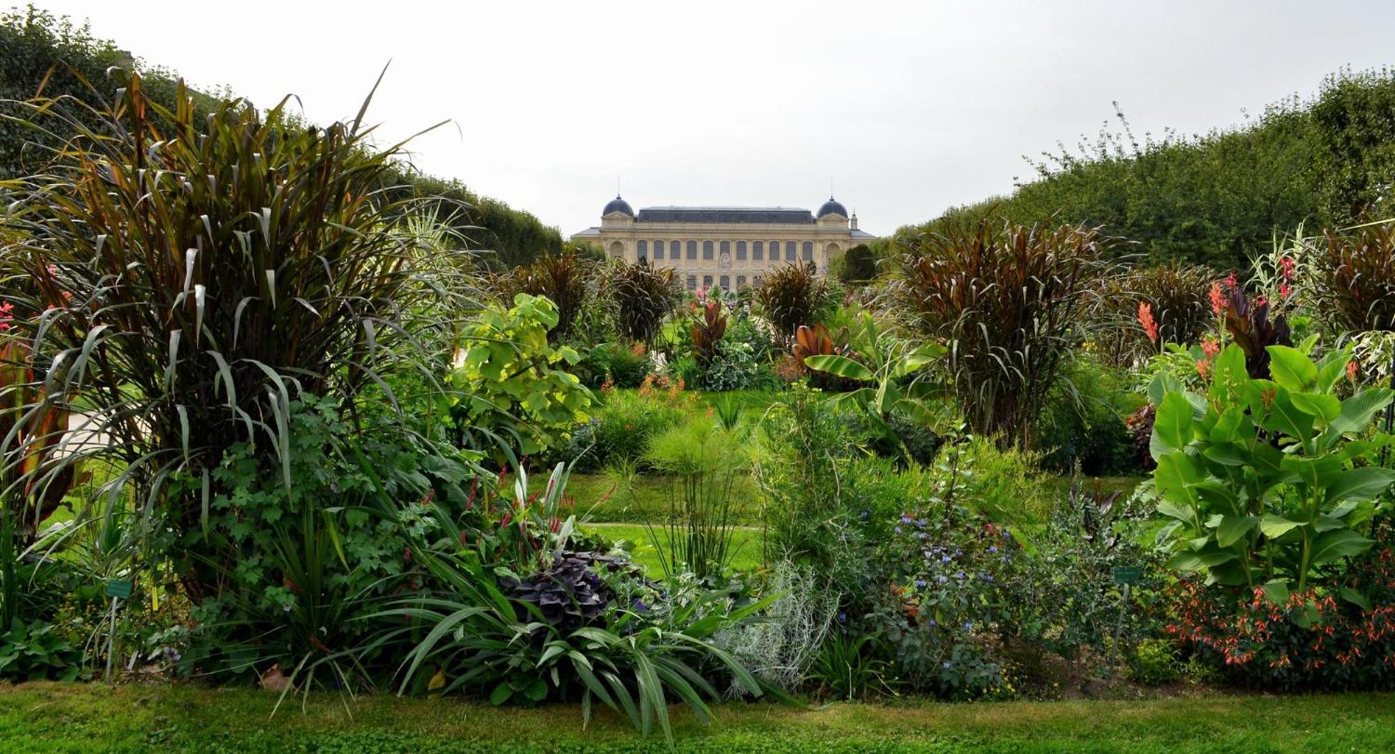 So Paris Group - Fully Serviced Apartment - Jardin Des Plantes - Heart Of Parigi Esterno foto